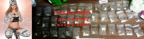 хмурый Абаза