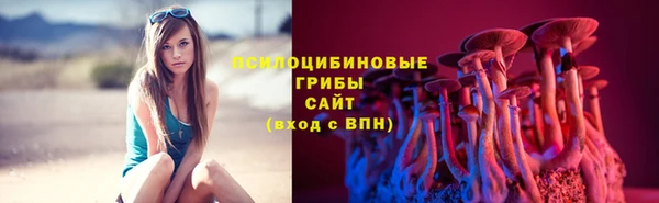 МДПВ Михайлов
