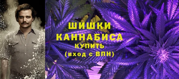 МДПВ Михайлов